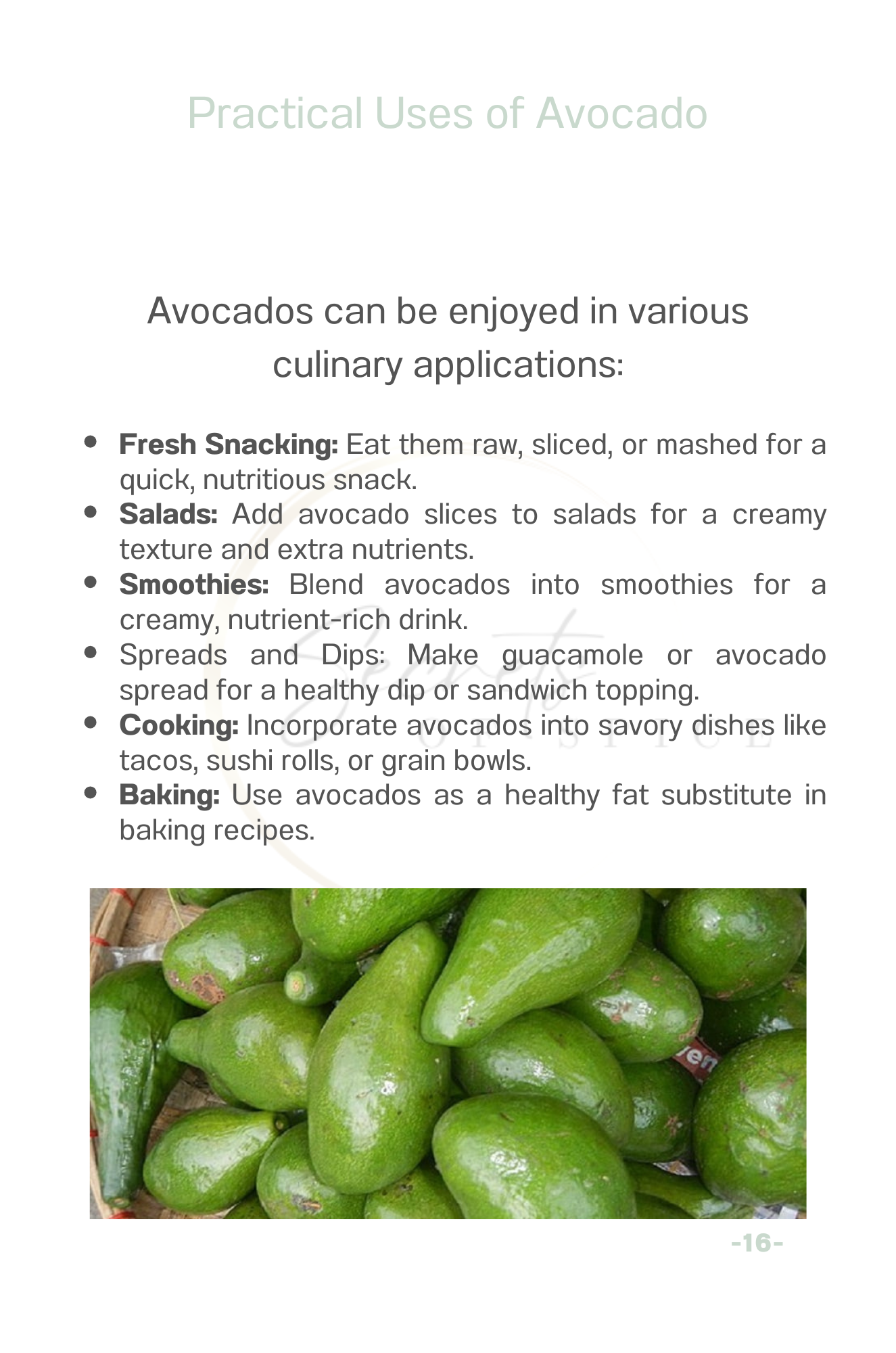 Alkaline Vegetable Guide
