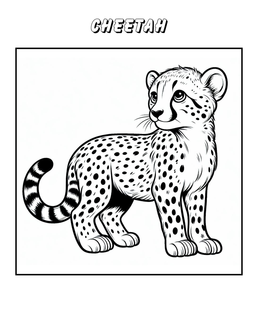 Coloring + Mathmatic 1st & 2nd grade