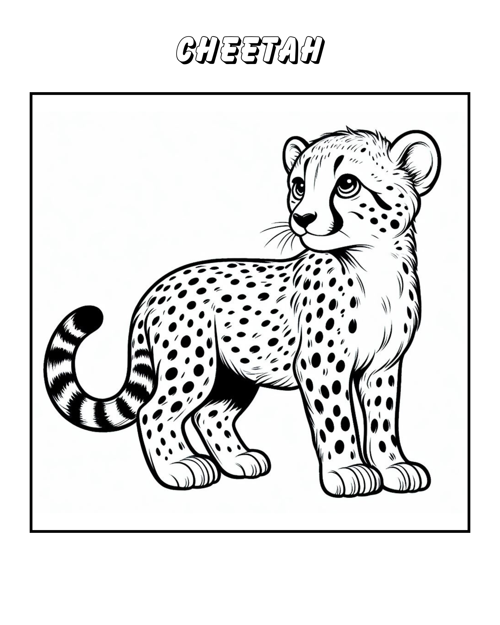 Coloring + Mathmatic 1st & 2nd grade